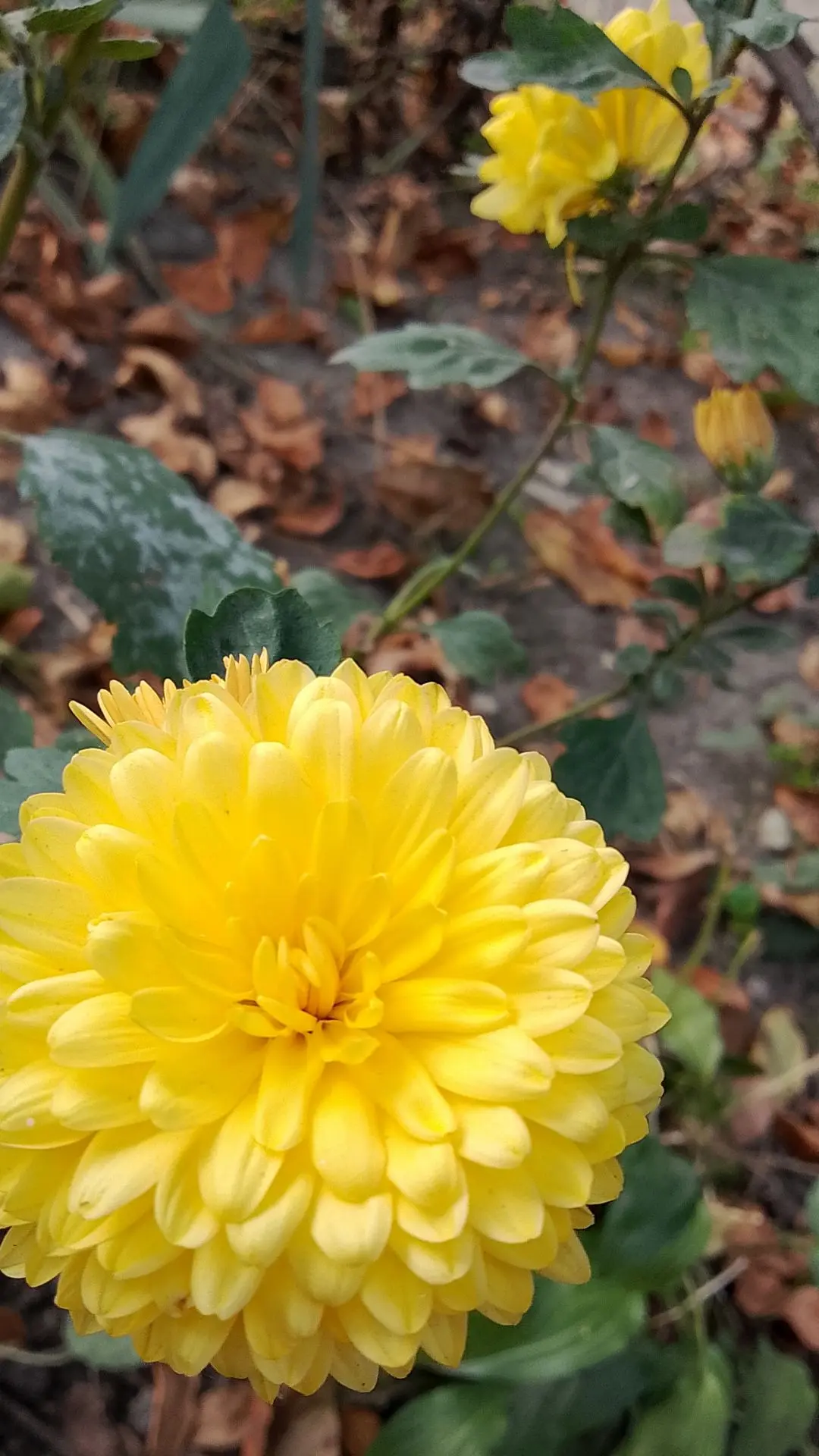 Свет внутри нас сильнее любой темноты вне нас.🌼