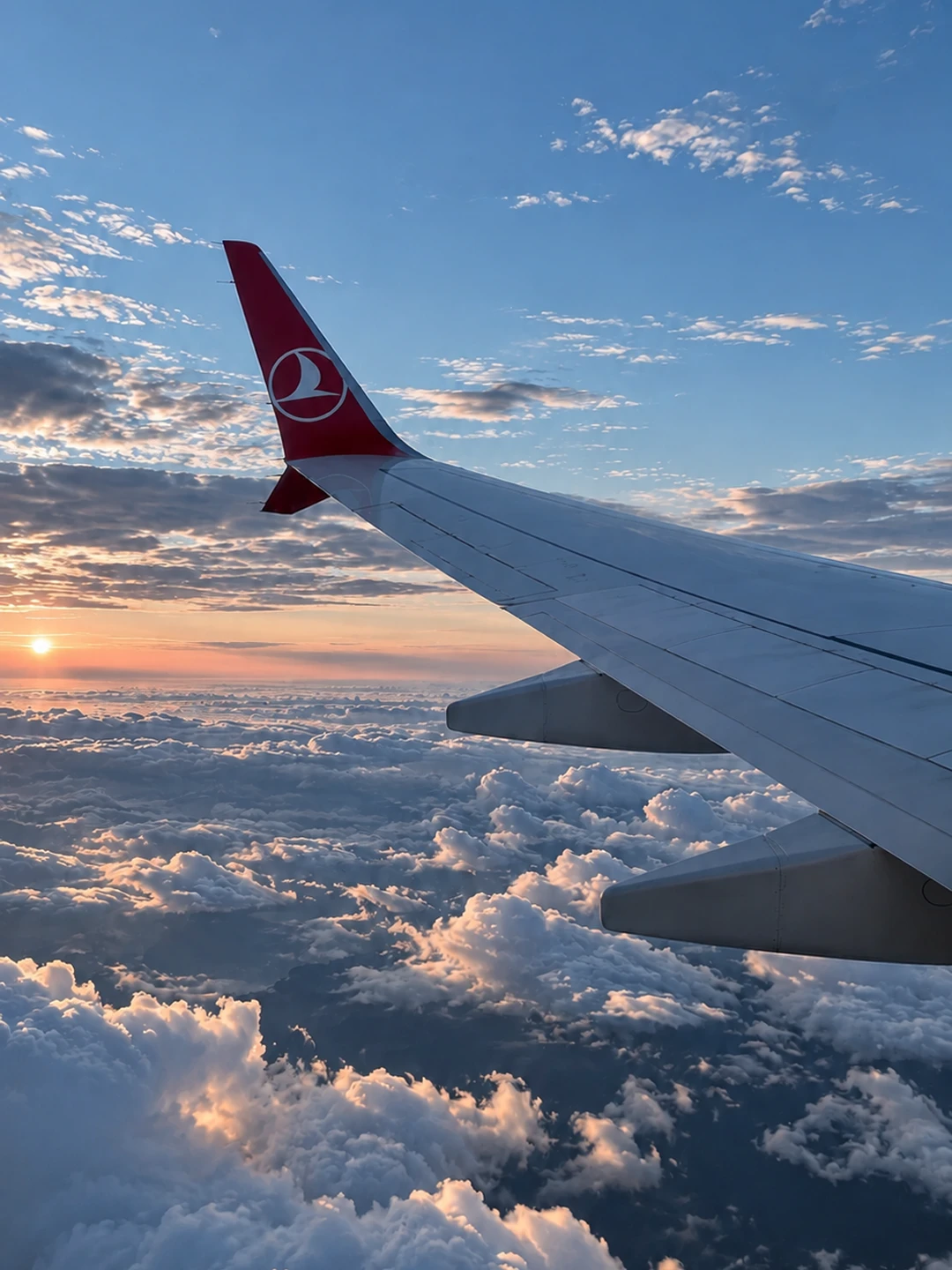 Лететь или не лететь? Что происходит с авиарейсами сейчас ✈️