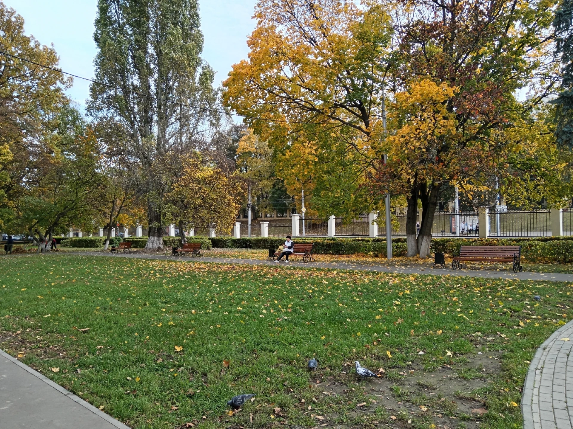 Прогноз погоды на вторник от синоптиков Рязанского ЦГМС