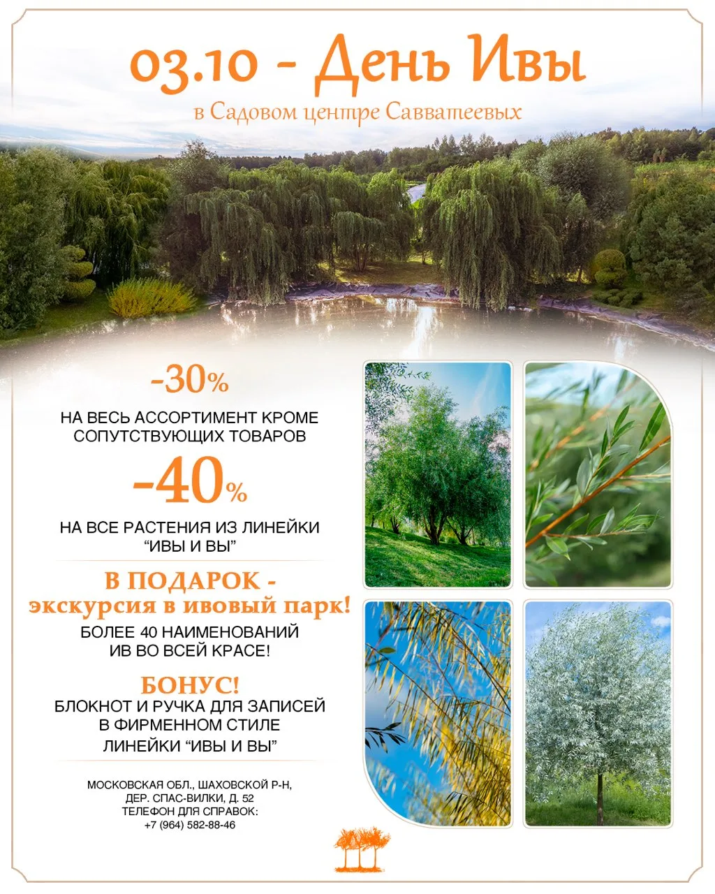 3 октября - день ИВЫ в Садовом центре Савватеевых!