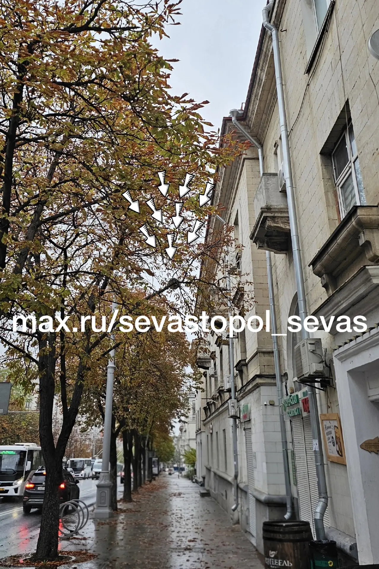На улице Большая Морская, 43 на дереве висит стул! Вчера был сделан звонок в городскую ...