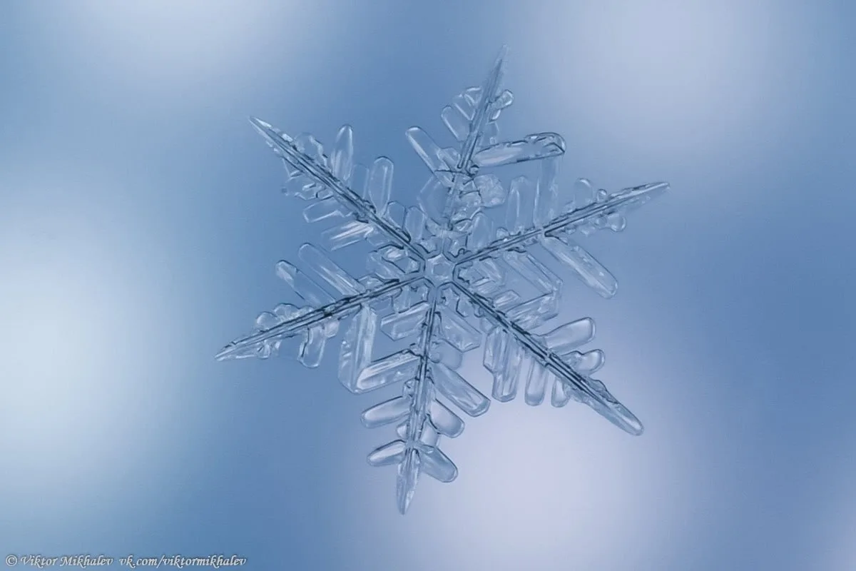 ❄️ Совсем скоро в Перми опять пойдет снег. А эти снежинки поймал фотограф Виктор Михалёв.