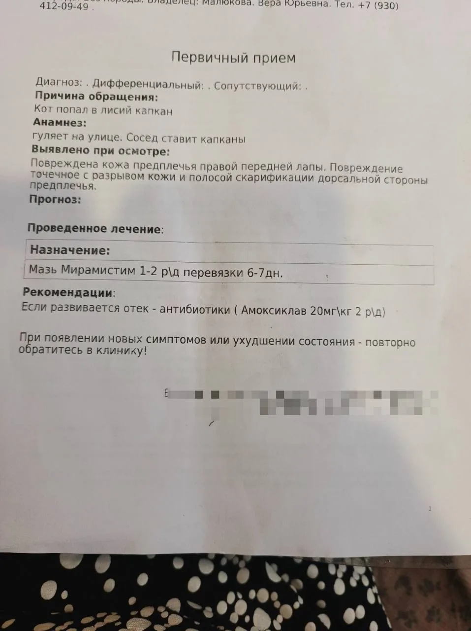 ⚡️В Новой Усмани сосед, по словам местной жительницы, ставит капканы