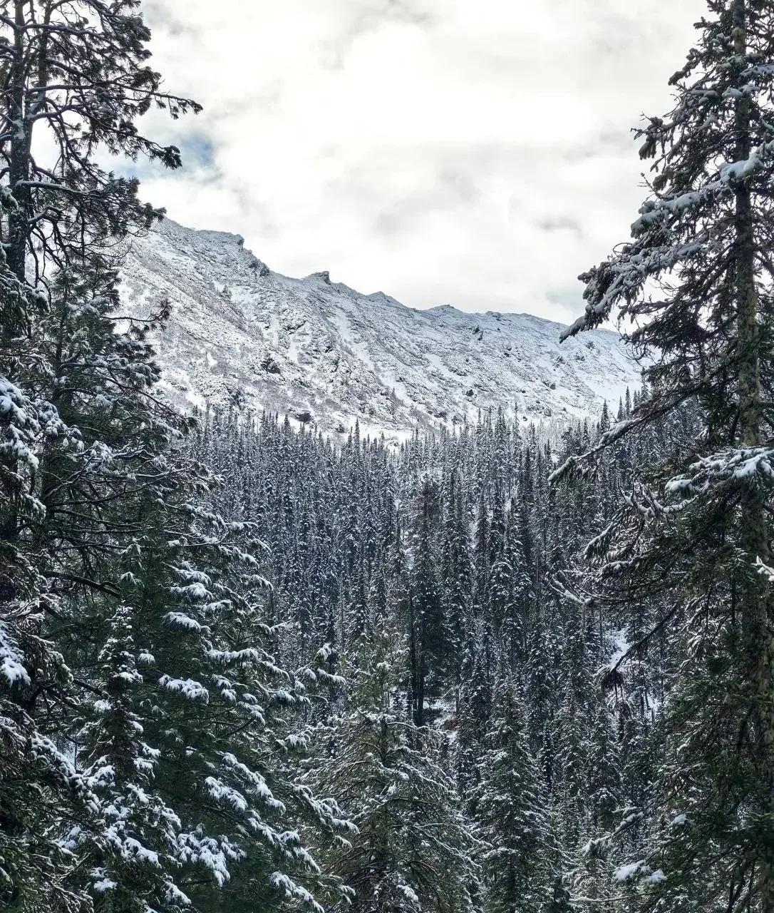 🗻❄️ Зимняя сказка прямо на Мамае