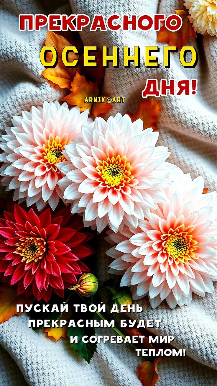 Подпишись 👇