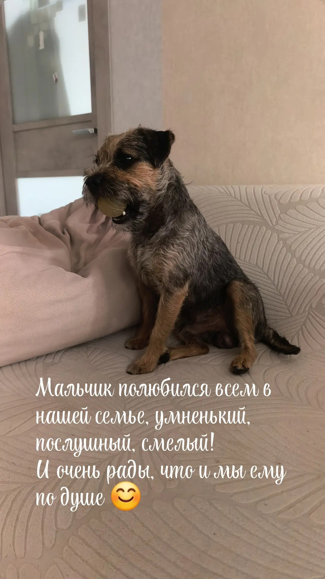 Ну какой же лапочка 🥰
