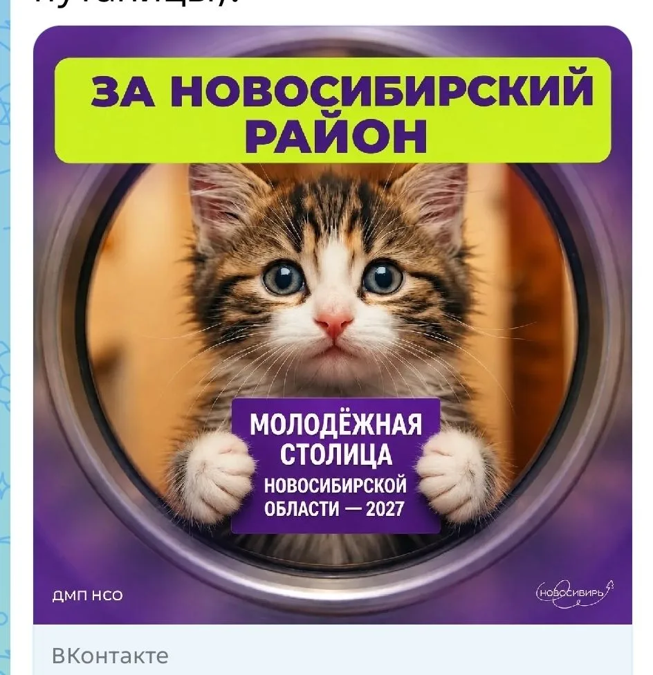 Поддержим Новосибирский район в борьбе за звание «Молодежной столицы НСО — 2027»!