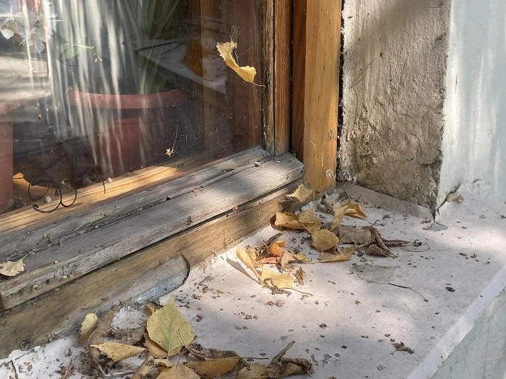 🍁По данным Башгидромета, 16 октября на территории республики переменная облачность. Бе...