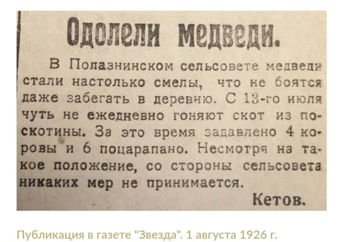Проблема с медведями не новая.