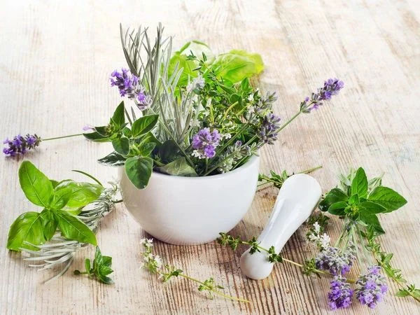 🌿ЖЕНСКИЕ ТРАВЫ 🌿