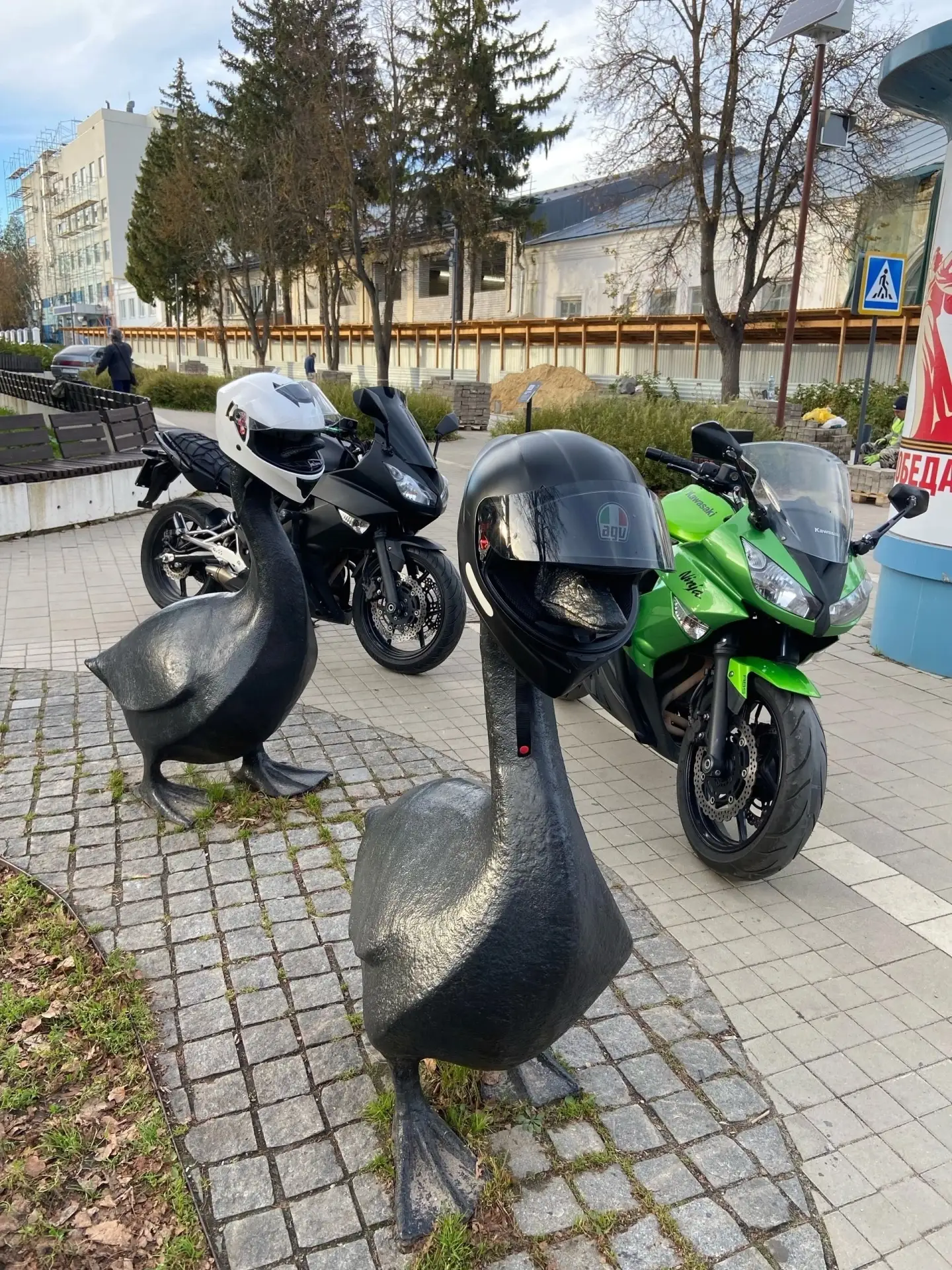 Арзамасские гуси записались в мотоциклисты 😁