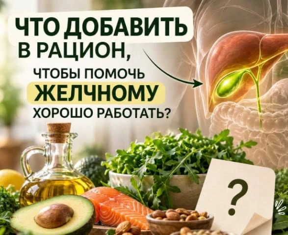 ЧТО ДОБАВИТЬ В РАЦИОН, ЧТОБЫ ПОМОЧЬ ЖЕЛЧНОМУ ХОРОШО РАБОТАТЬ?
