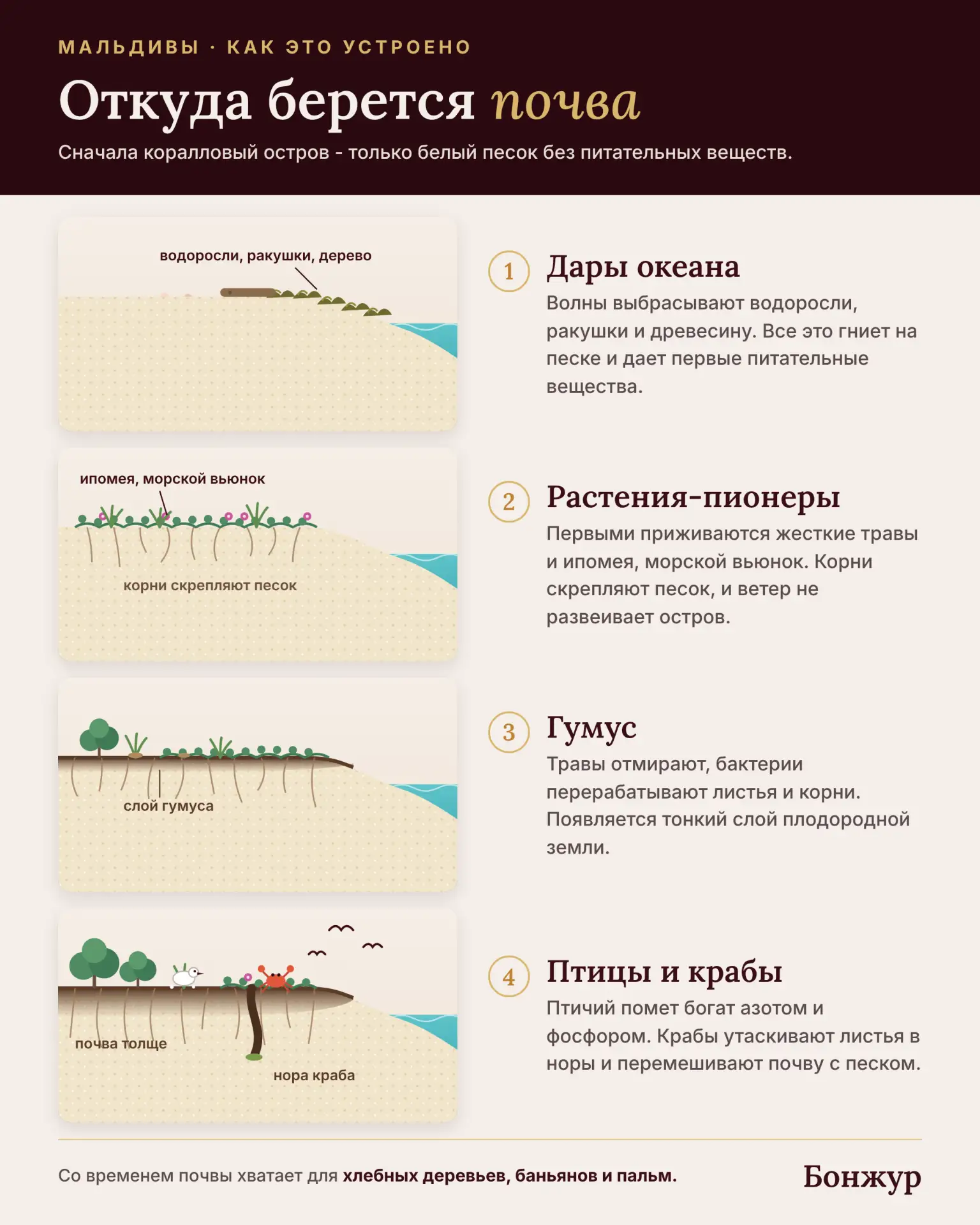 Прежде чем рассказать про отели с самыми красивыми лагунами на Мальдивском архипелаге, ...