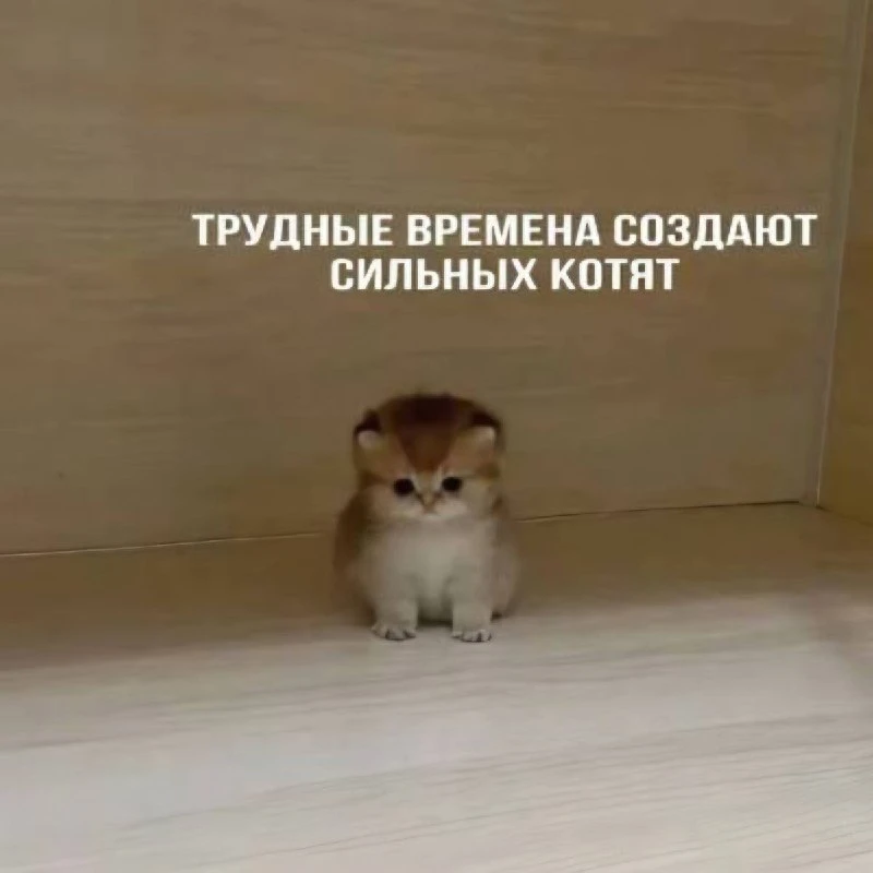 Доброе утро, Челябинск! ☀️