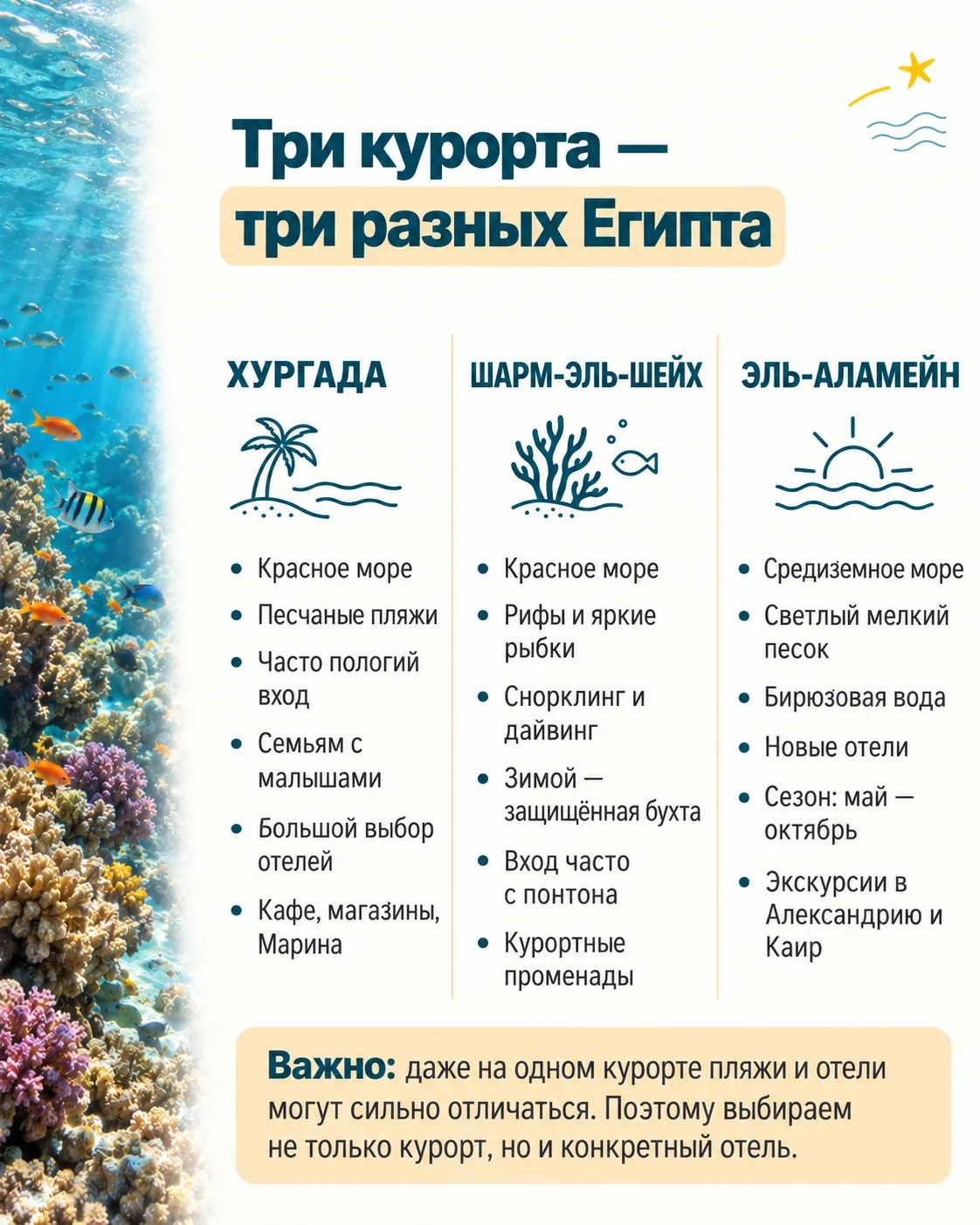 Раньше при выборе отдыха в Египте мы сравнивали два курорта: Хургаду и Шарм-эль-Шейх.