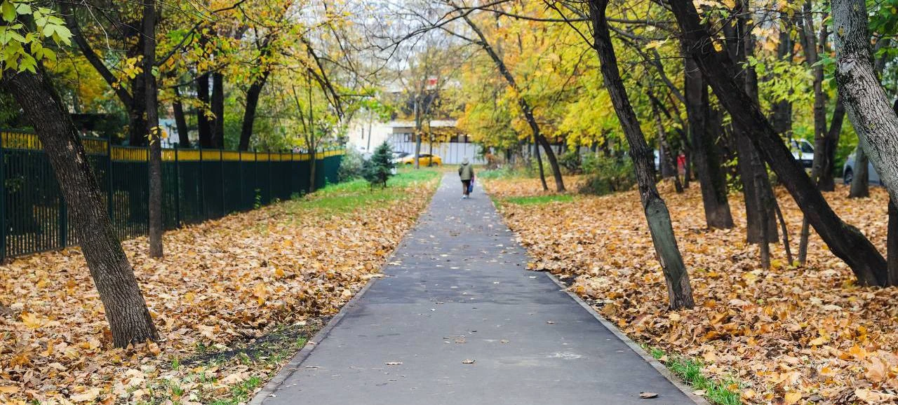🚶 В Химках благоустроили уже 55 народных троп