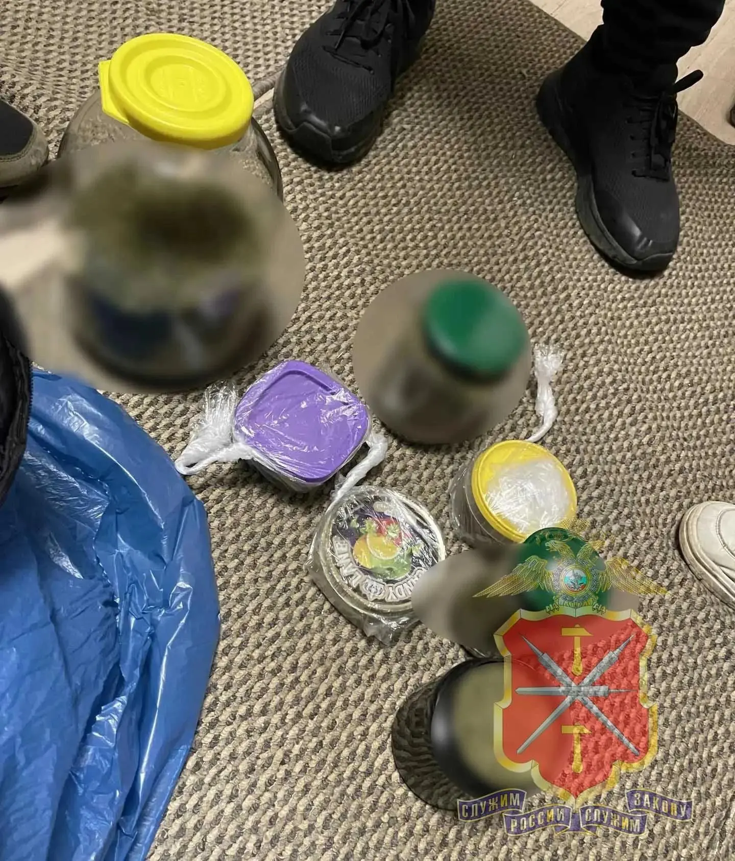 ❗️В Белёве обнаружили домашнюю плантацию конопли и 459 граммов марихуаны