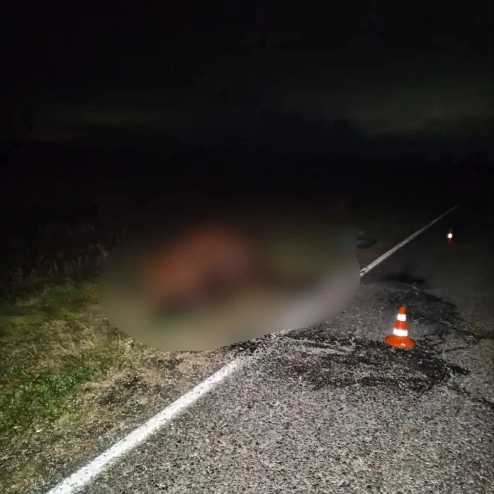 ⚡️ В Шушенском районе 62-летний водитель сбил коня: пассажирка в больнице