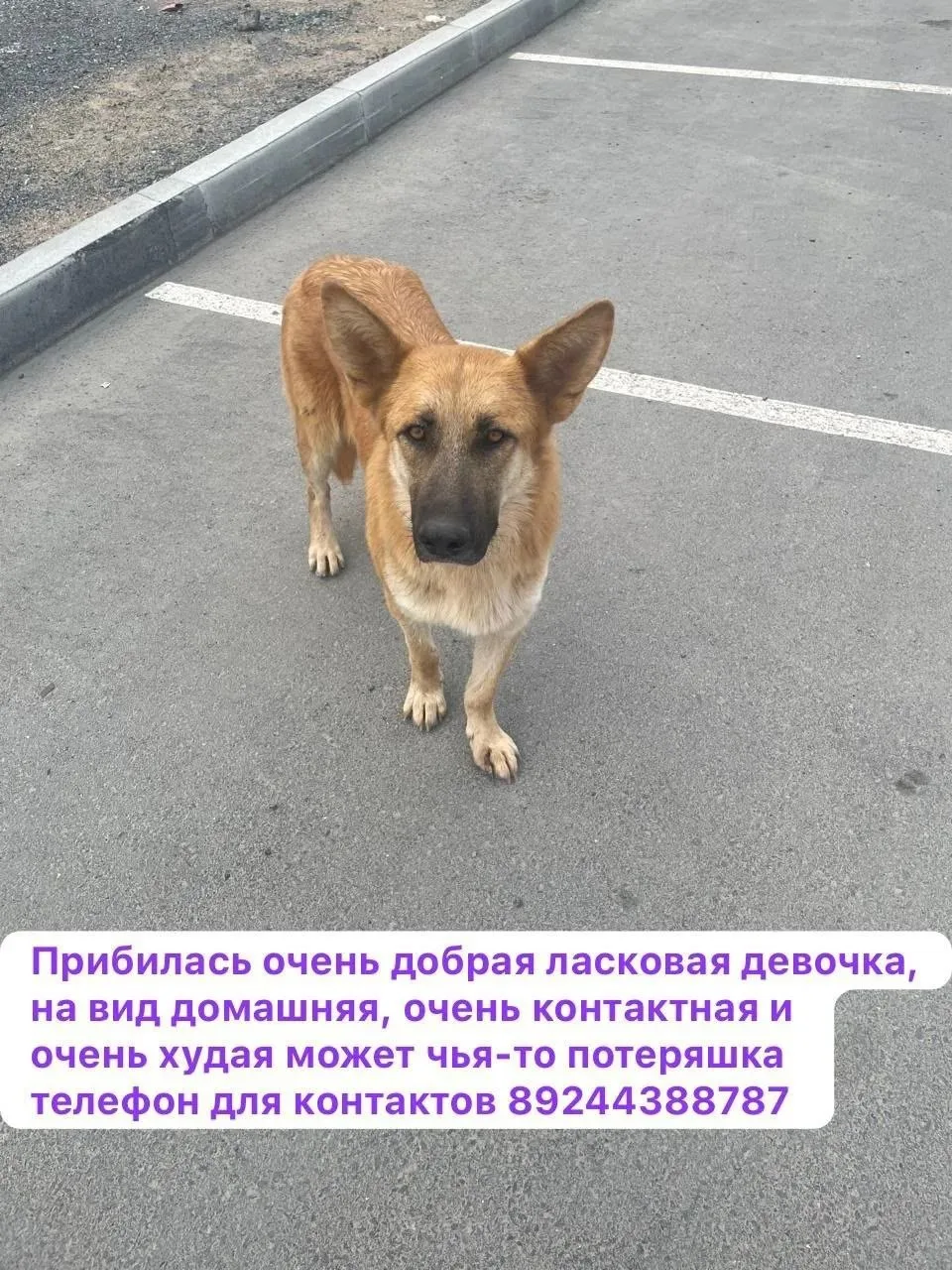 ВЛАДИВОСТОК.
