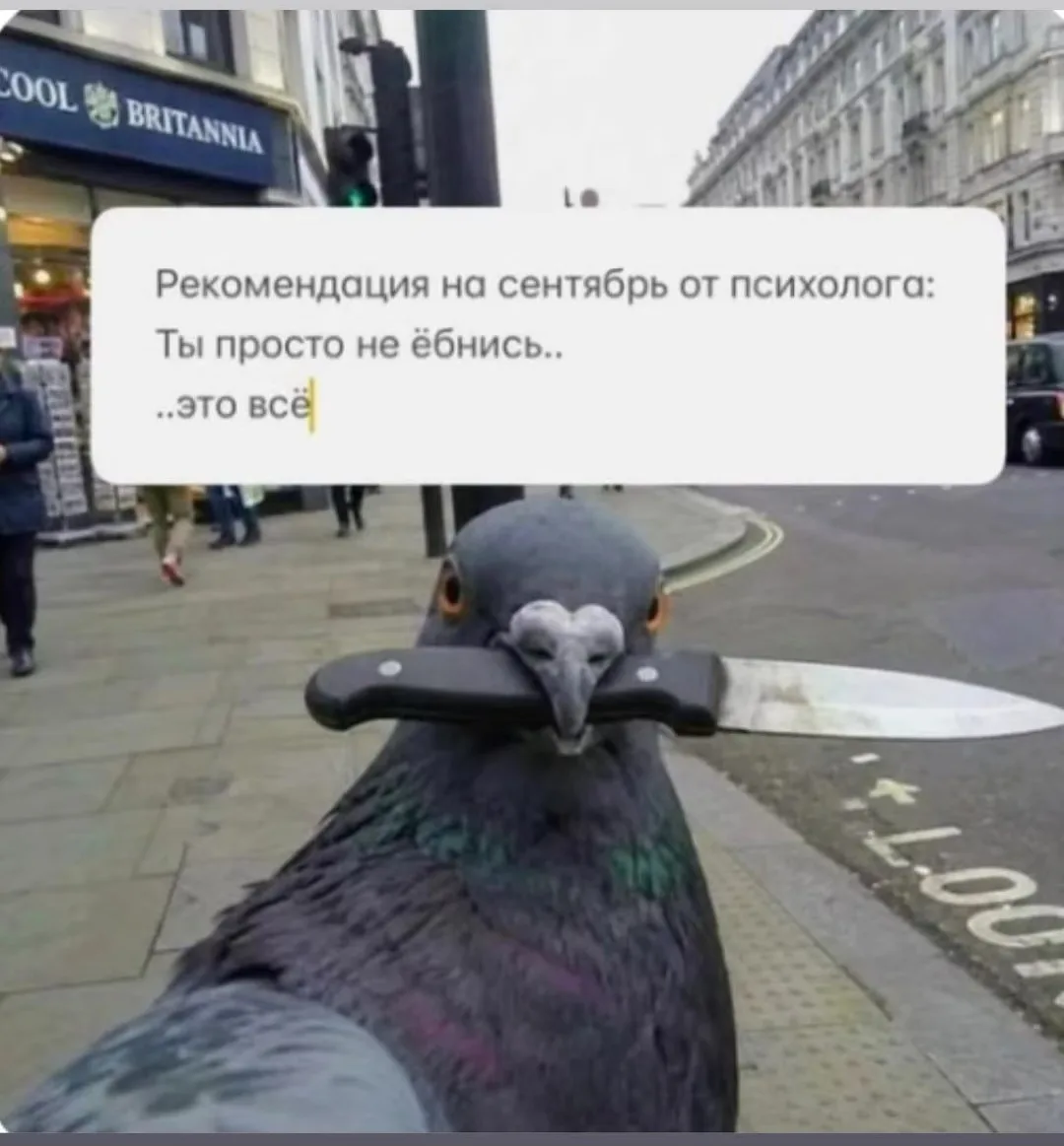 АХ-РЕ-НЕ-ТЬ, , уже сентябрь закончился, а я толком ничего не выложила с лета🤬