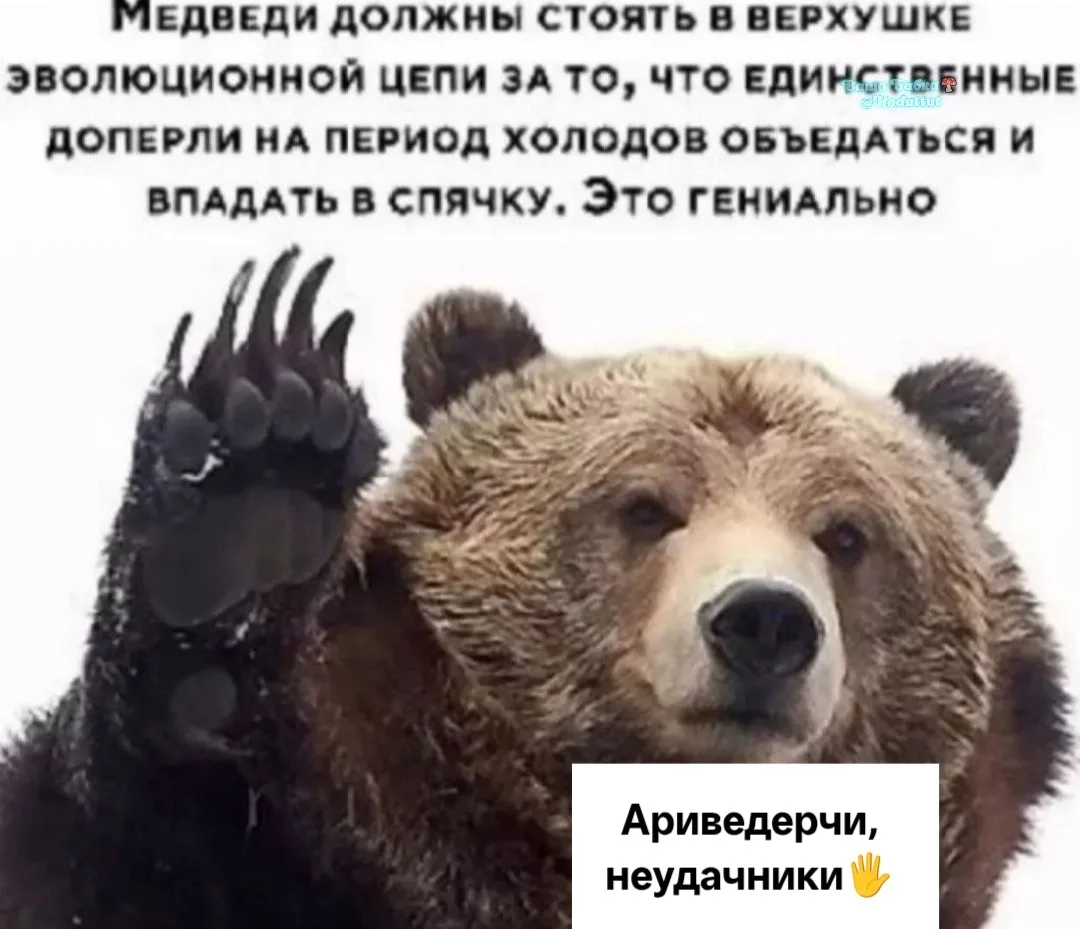 Аж завидно