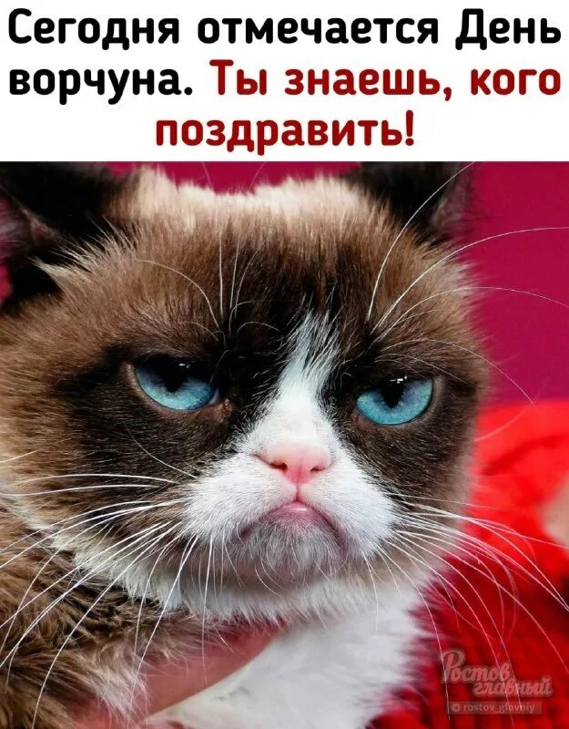 👉 Не забудь подписаться: