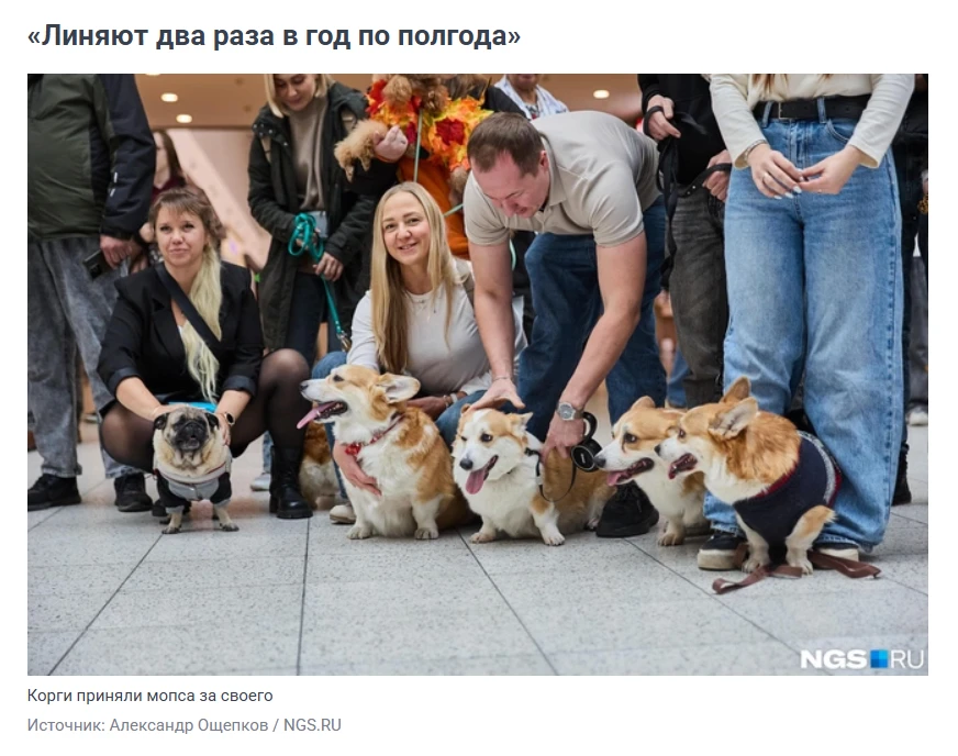 #толькохорошиеновости