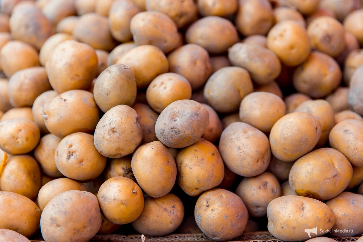 🥔 Предварительные итоги уборочной кампании подвели на Сахалине