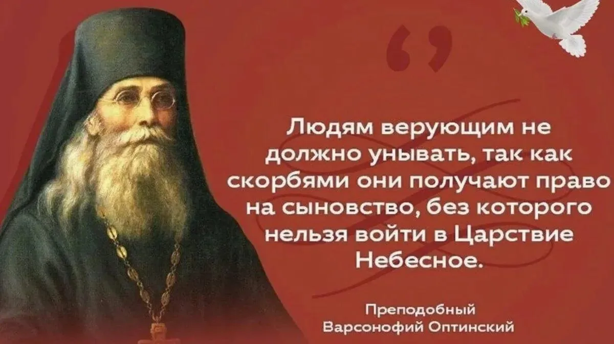 🌹⚜🌹⚜🌹⚜🌹⚜🌹
