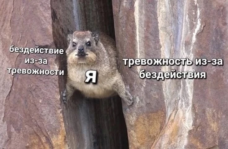 Напоминаю, завтра встречаемся с вами на эфир-практикум «Действовать нельзя бояться», ра...