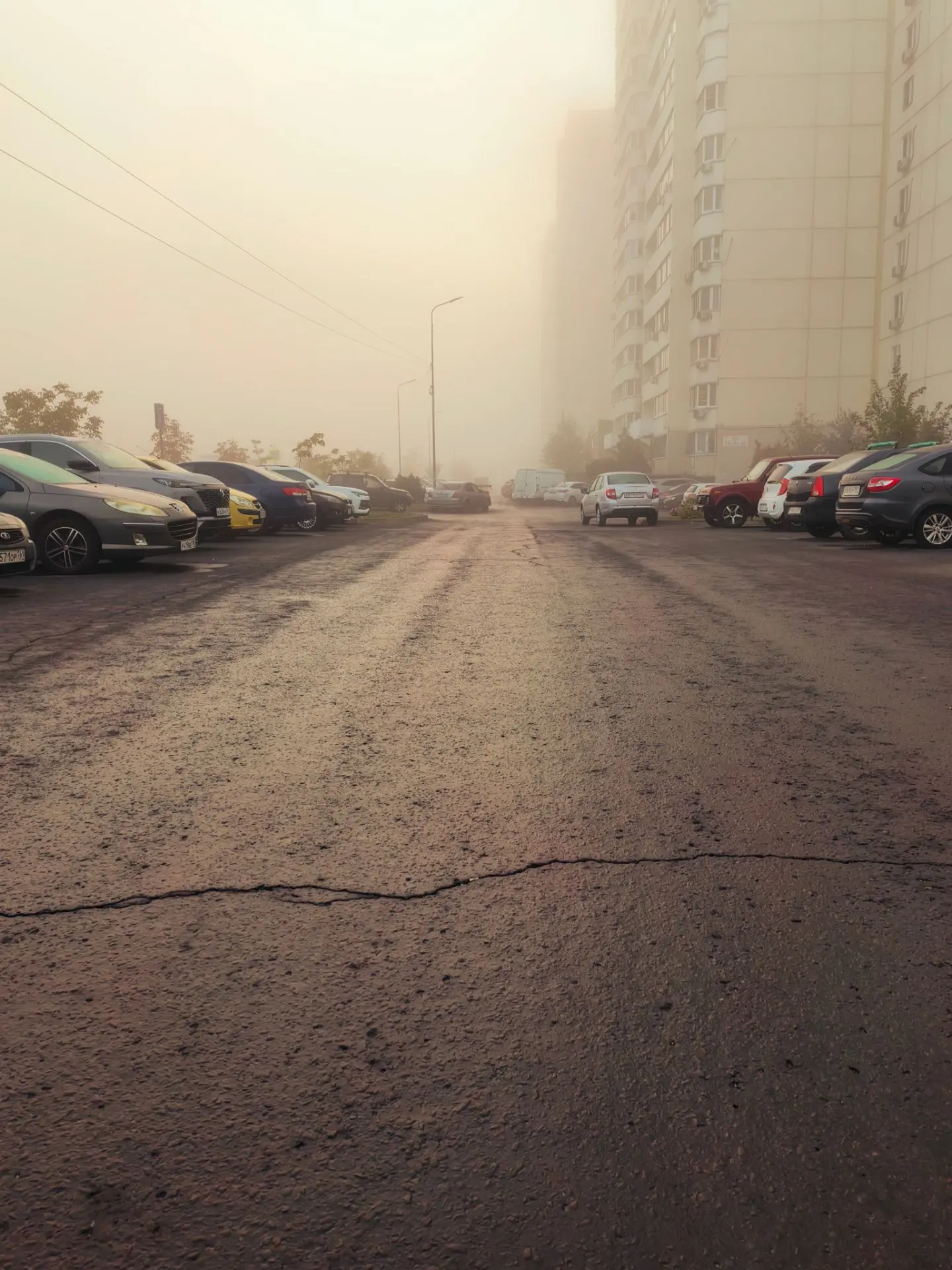 Туман...