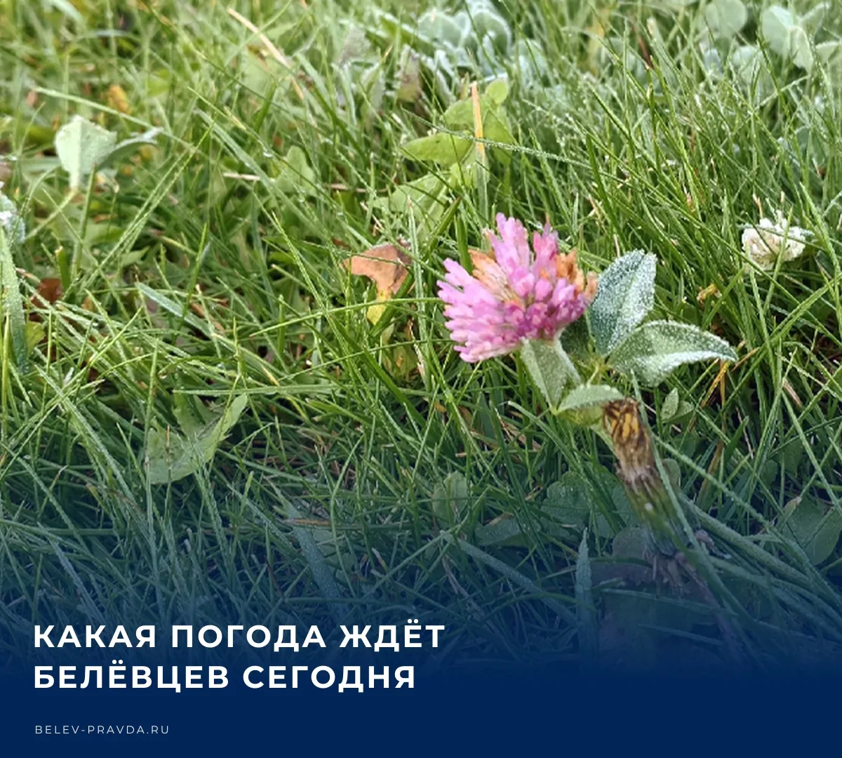 ☁️ Бодрое утро, Белёв! Сегодня в нашем городе по прогнозам синоптиков в течение всего д...