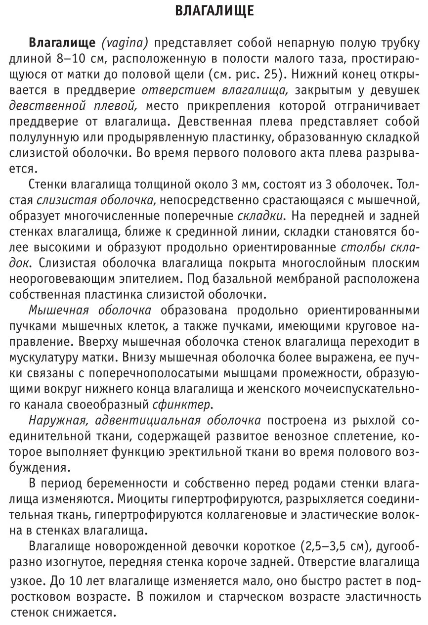 Влагалище