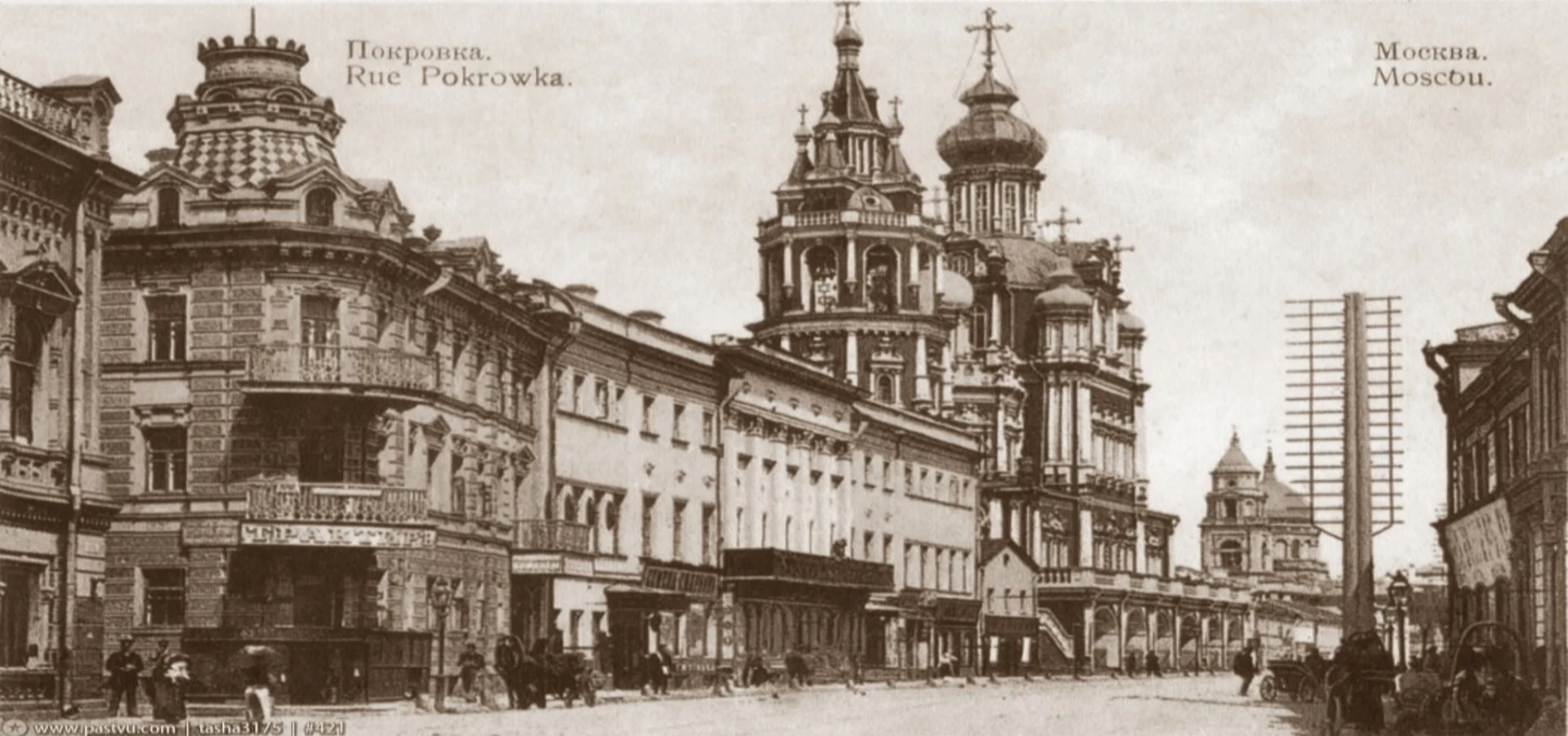 БАРОН КНОП — СИТЦЕВЫЙ КОРОЛЬ
