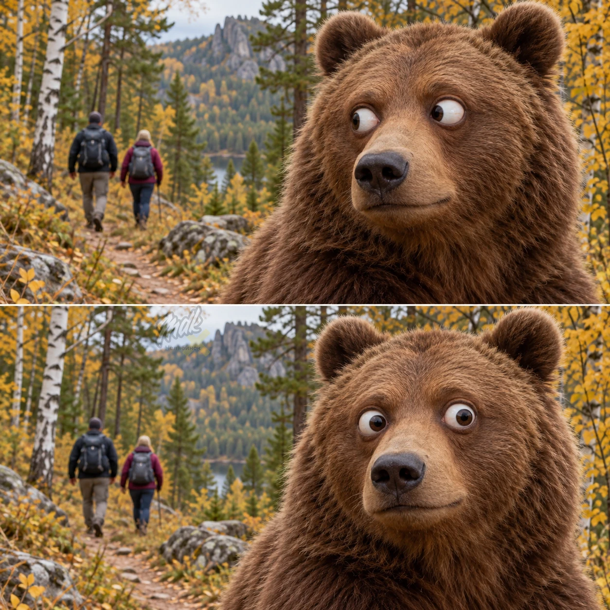 🐻 Медведи не нападают на людей в Челябинской области