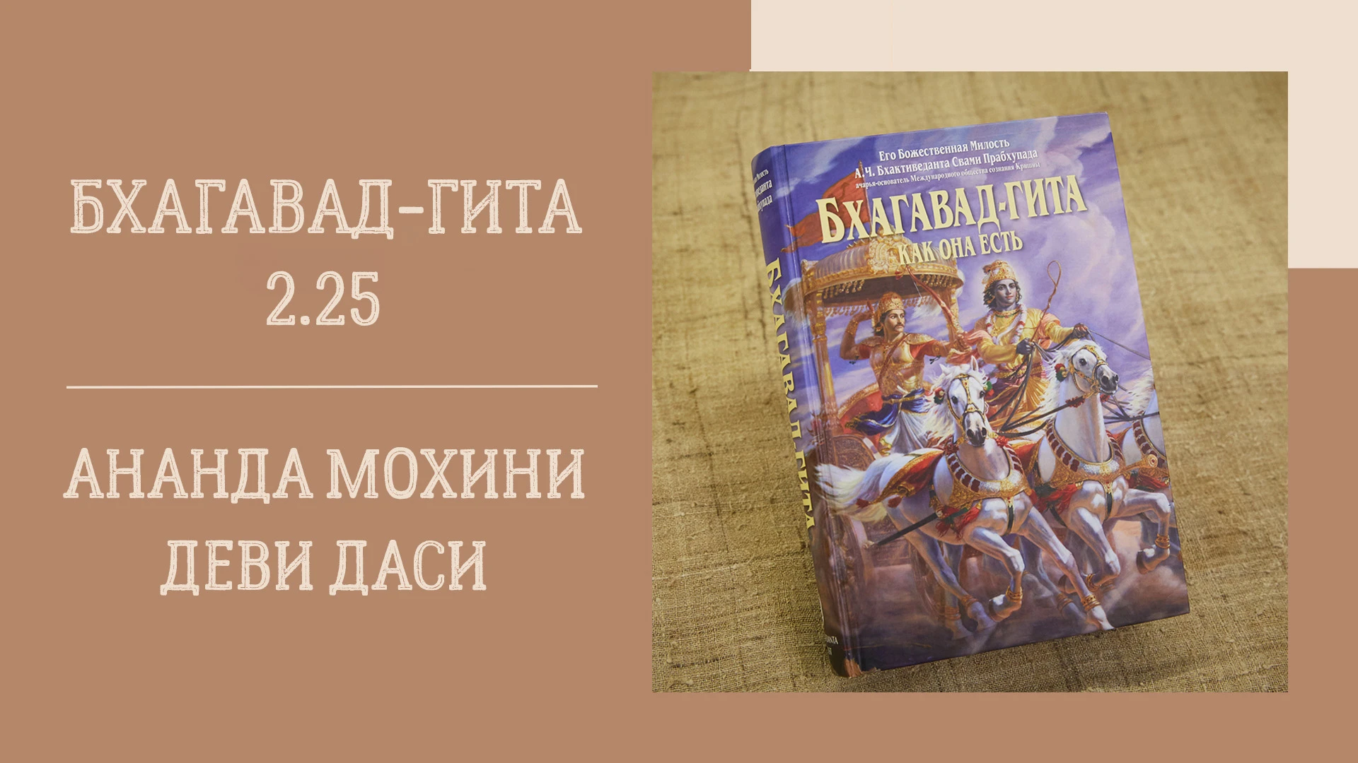 📖 Вечерняя лекция