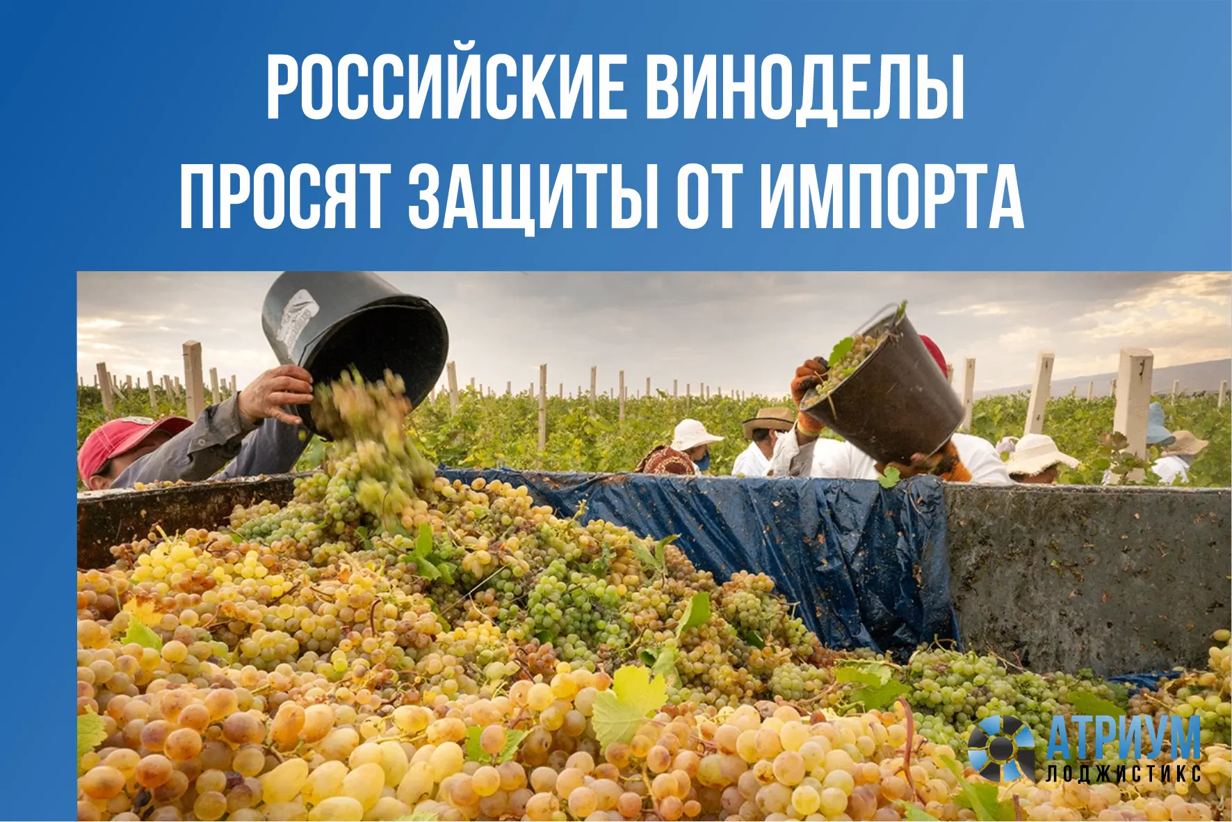 Производители предложили Минпромторгу ввести пошлины на все импортные вина: потребители...
