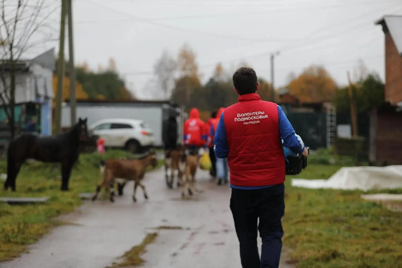 Акция «Дай лапу» в Подмосковье🐴🐶