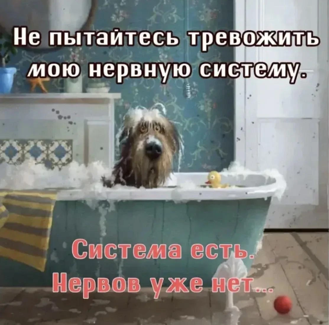 Желаю, чтобы ваша среда была наполнена улыбками. Пусть день будет светлым!🍁