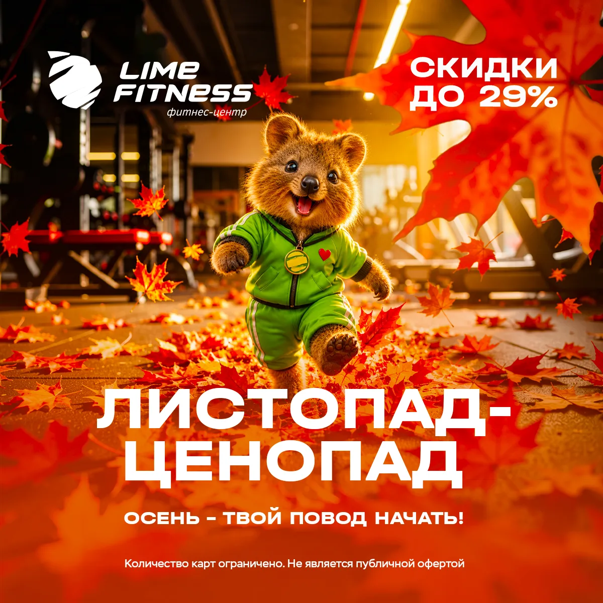 🍂 ЛИСТОПАД-ЦЕНОПАД В LIME FITNESS! 🍋‍🟩*