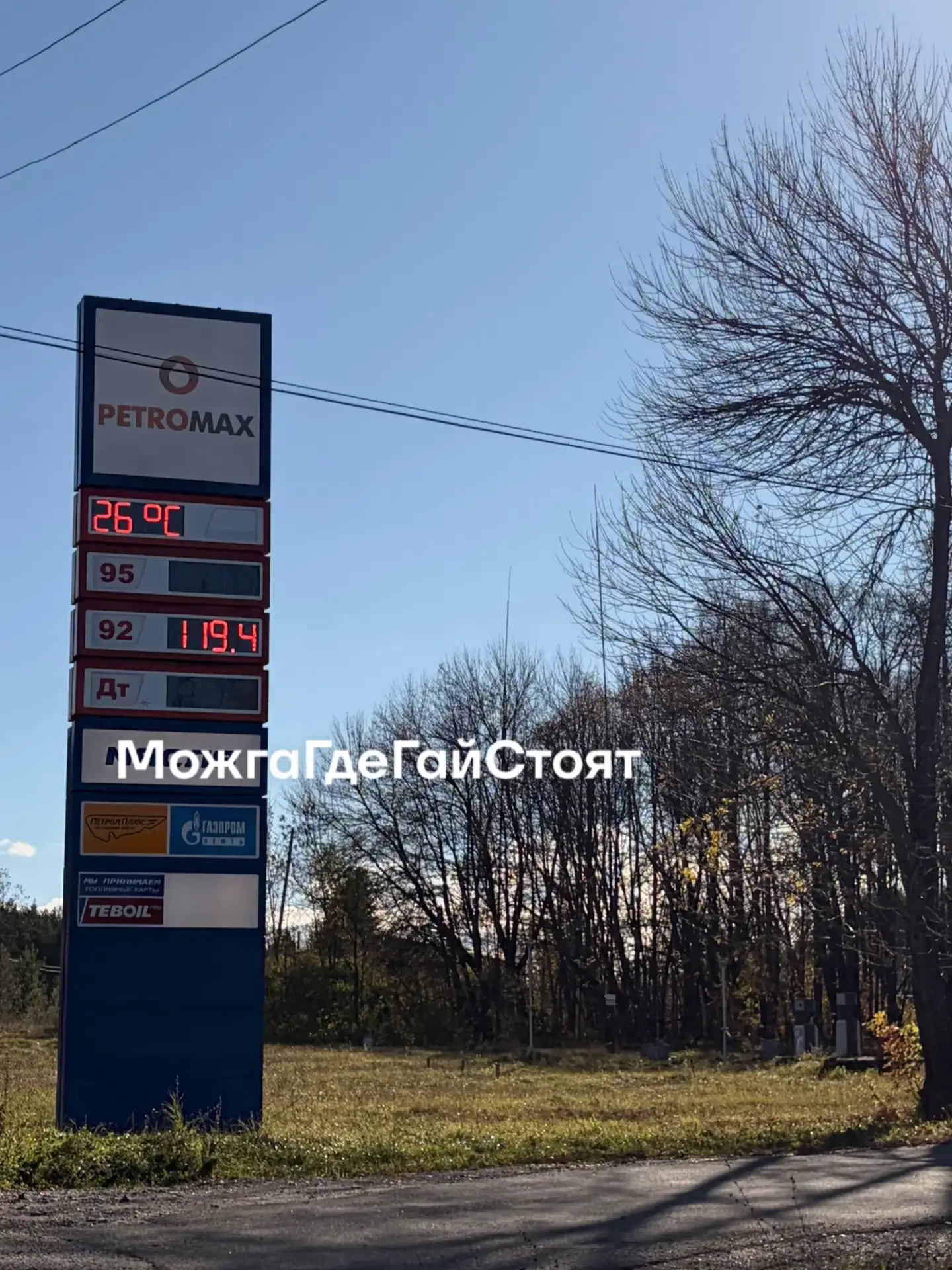 ‼️ Теплая неделя выдалась в Можге