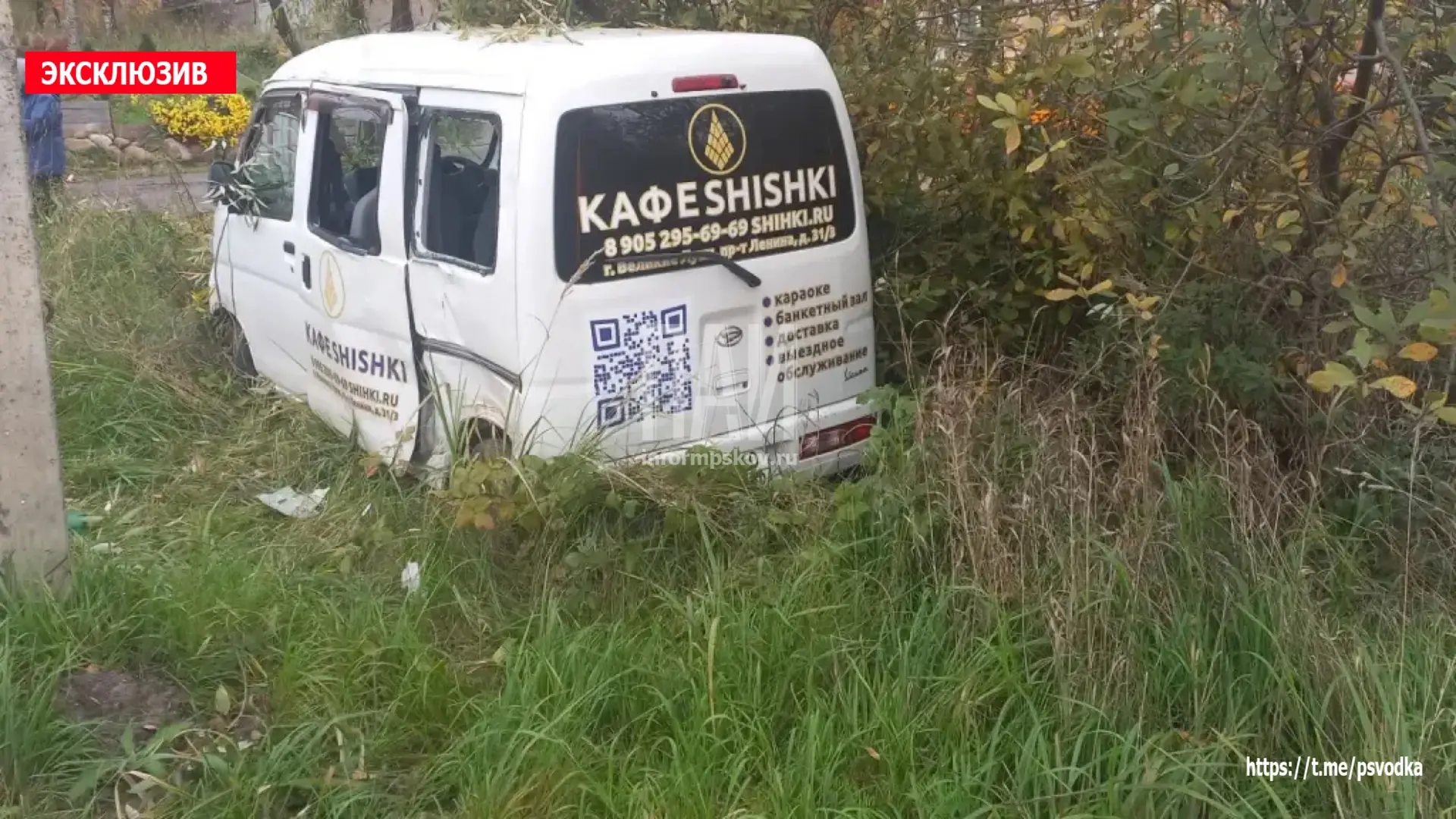 В Великих Луках, на улице Автомобильной у дома 10, водитель автомобиля Daihatsu Hijet с...