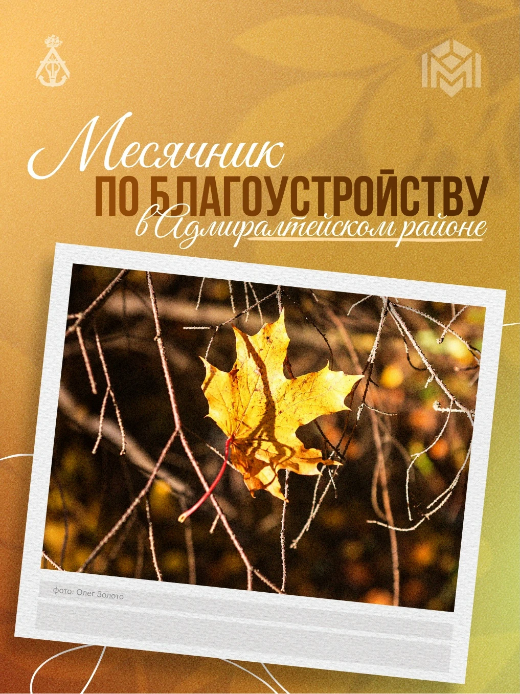 🍂 В октябре в Санкт-Петербурге проходит традиционный месячник по благоустройству