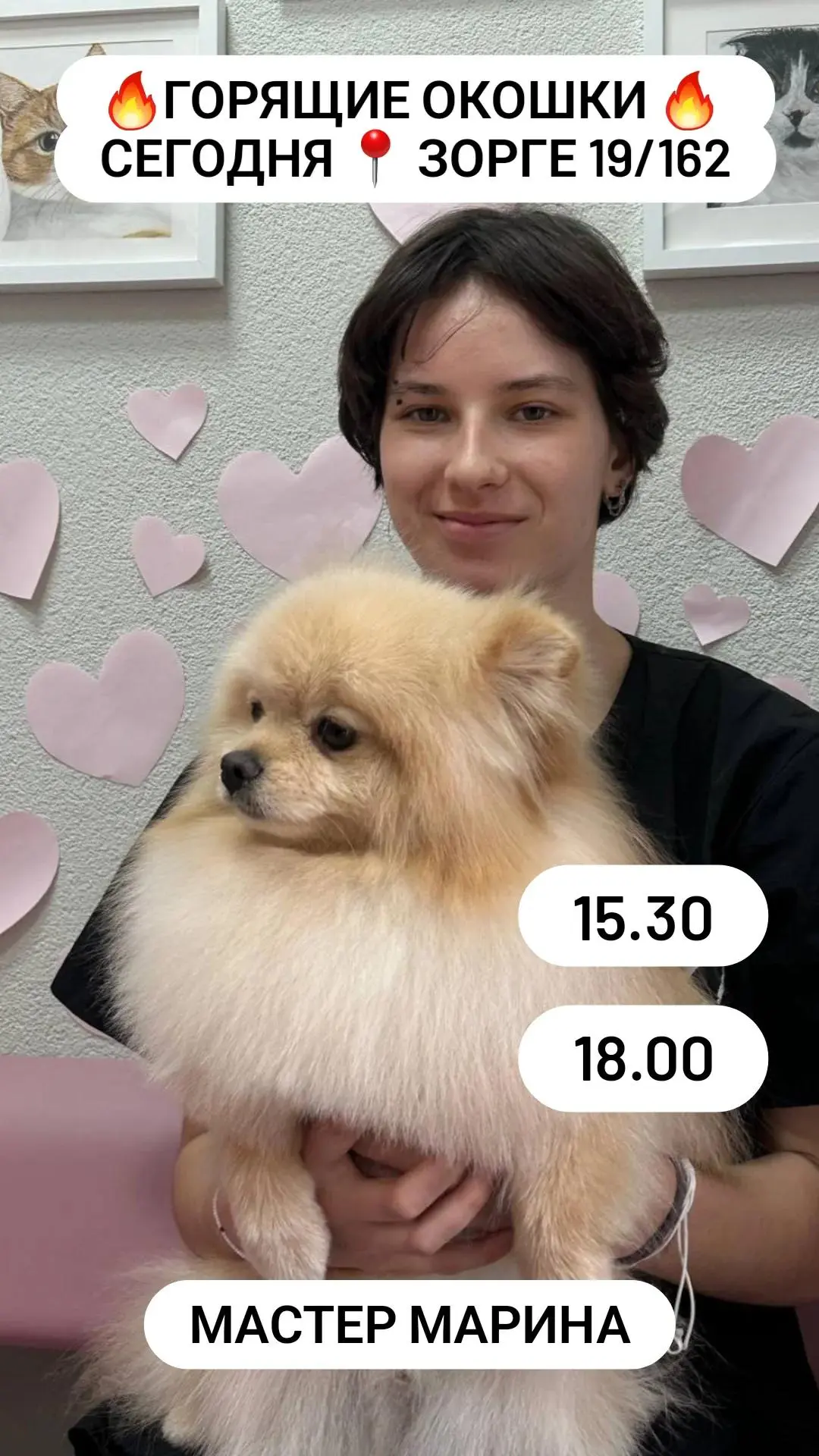 Горящие окошки на сегодня  на зорге 19/162