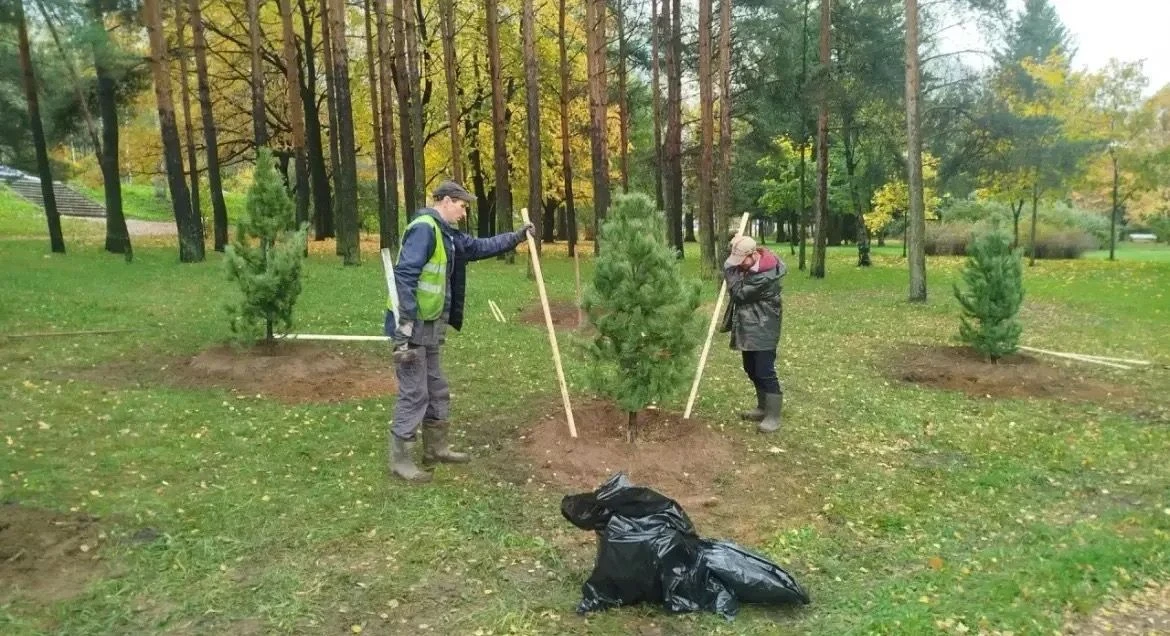 Дорогие жители Выборгского района!