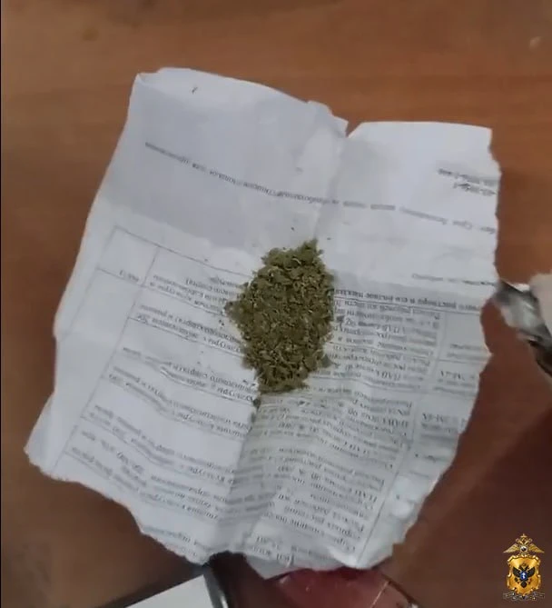 📌 Полицейские изъяли растительный наркотик у жителя Ивановского округа