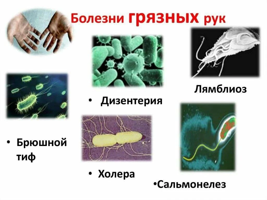 «Болезни грязных рук» — это не одно конкретное заболевание, а целая группа инфекций и п...