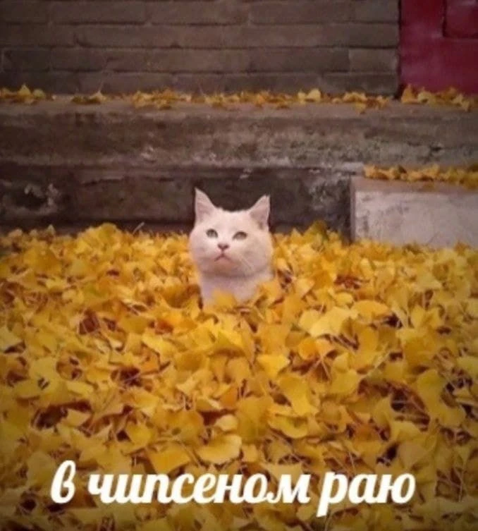 Погода сегодня в Ульяновске
