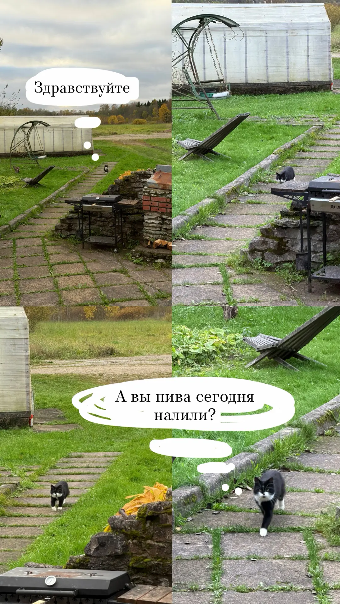 Пора выпускать комиксы😁