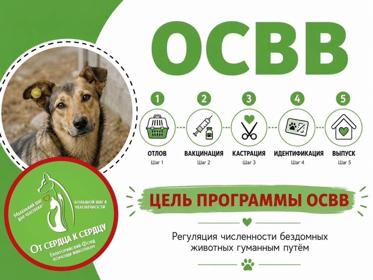 На основе муниципального контракта Евпаторийский фонд помощи животным «От сердца к серд...